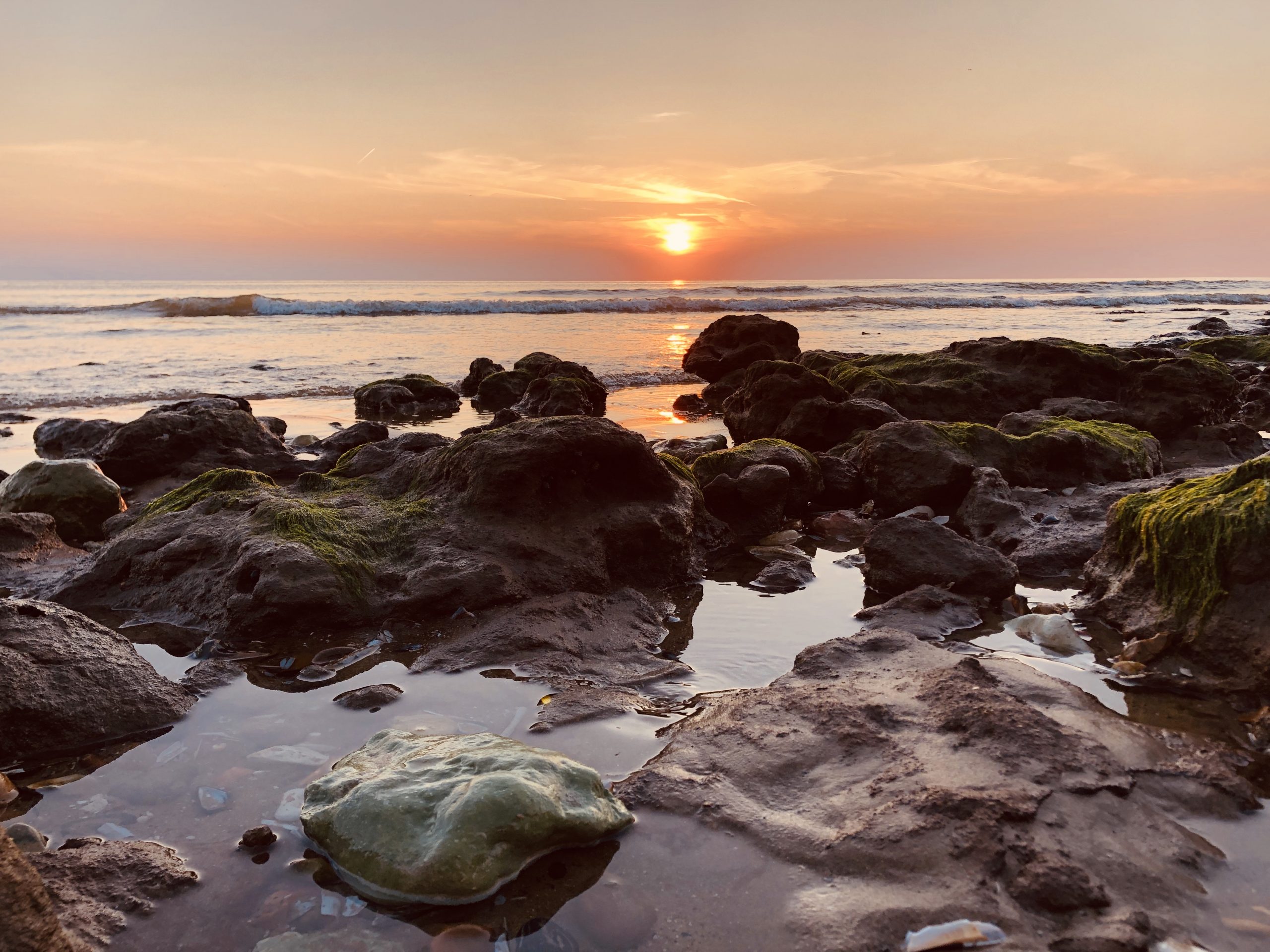 Endings or Beginnings? Taking your next steps