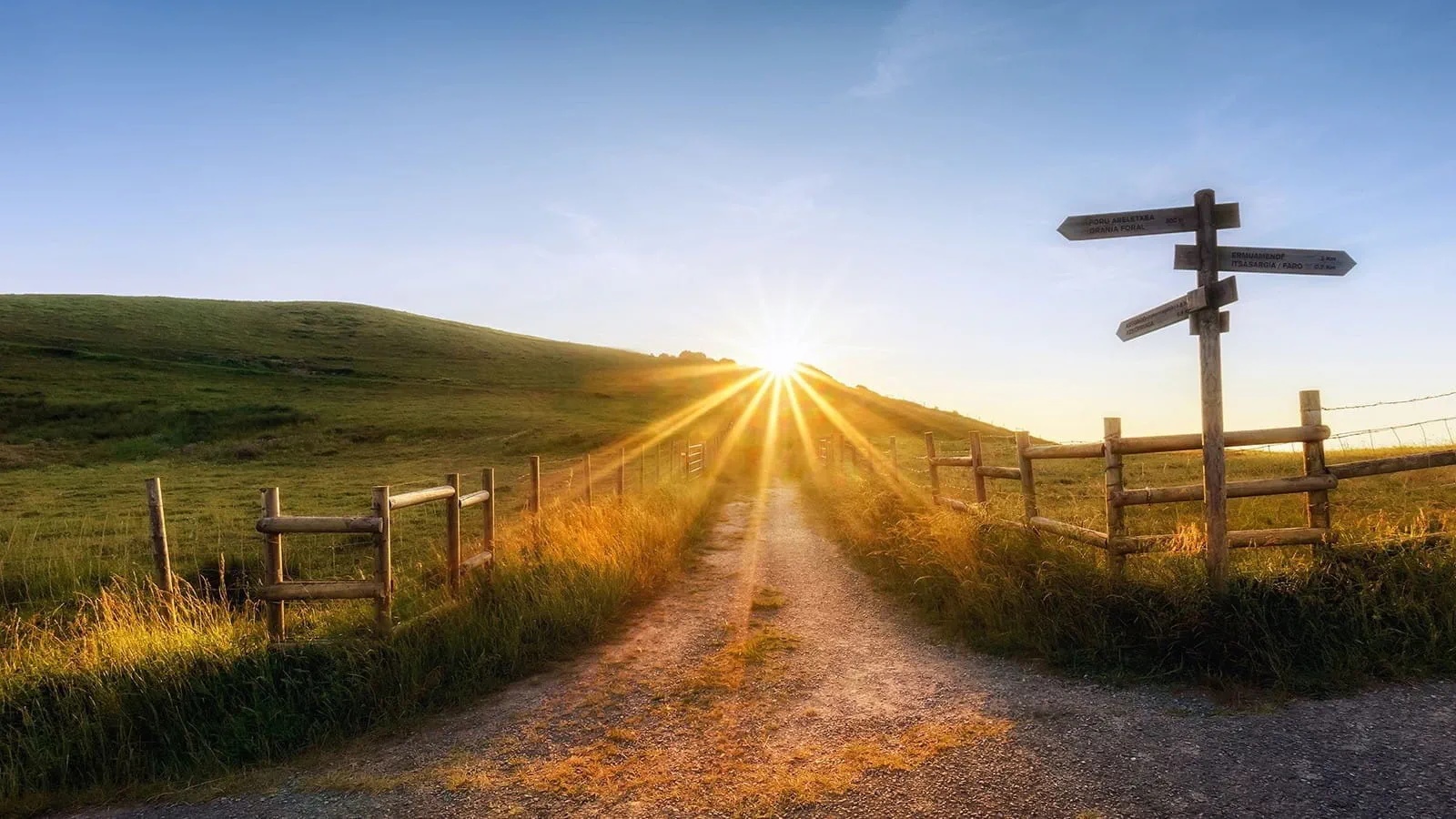Embracing the Uncertainty: Coping with Results Week